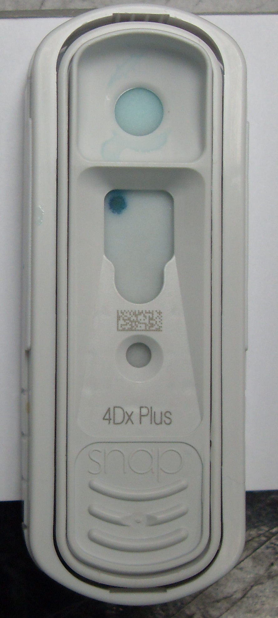 Idexx 4Dx test negativní